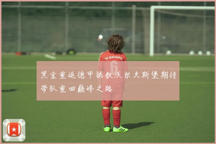 黑金重返德甲执教沃尔夫斯堡期待带队重回巅峰之路